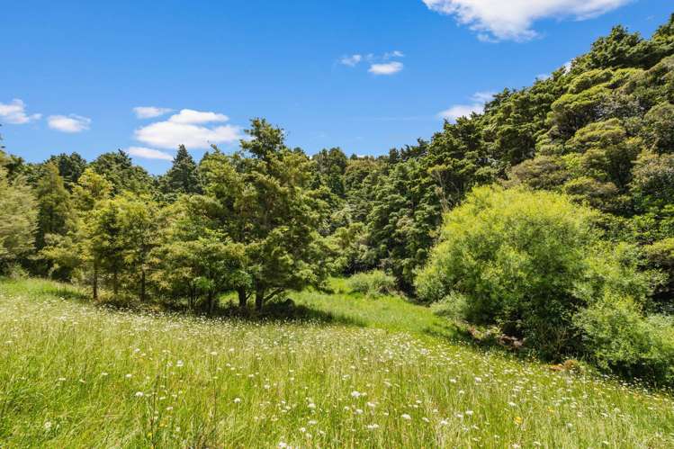 76 Forest View Road Kamo_29