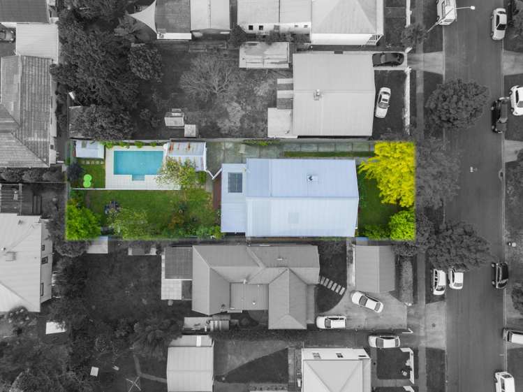 6 Thistle Street Napier South_28