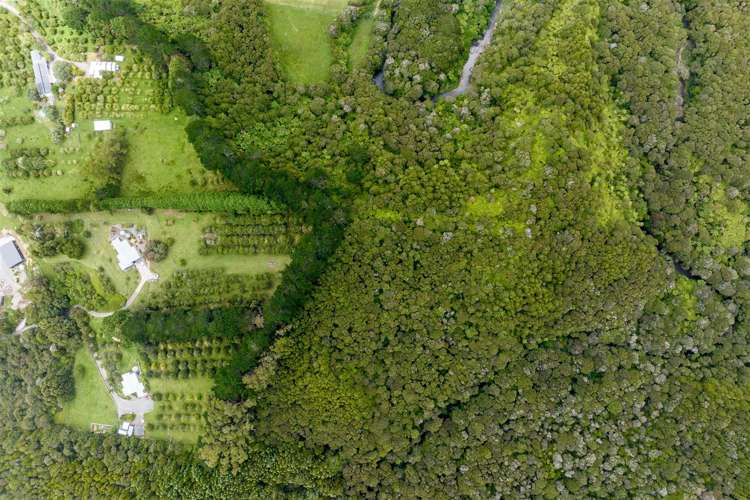 234 Glenmohr Road Waipu_21