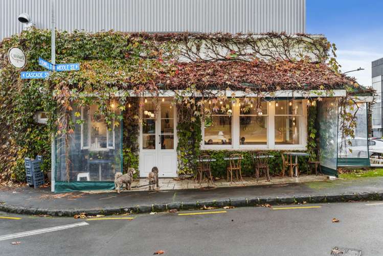 Apt 3A, 36 College Hill Freemans Bay_19