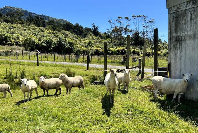 869C Seven Mile Road Rapahoe_29