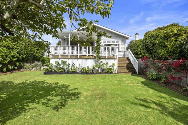 44 Martin Avenue Mount Albert_1