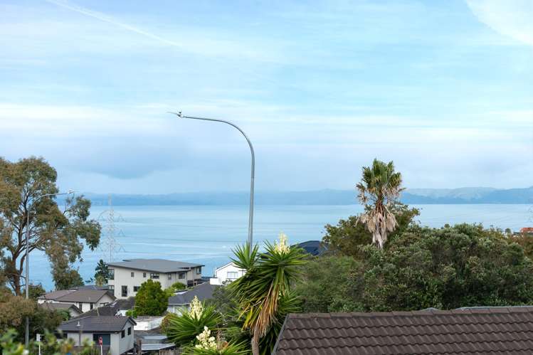 1/281 Hillsborough Road Hillsborough_14