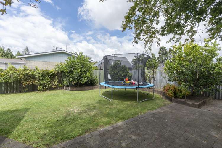 3 Darley Street Maeroa_20