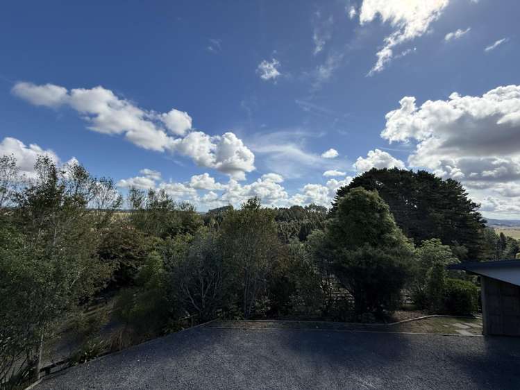 98 Tender Road Dairy Flat_37