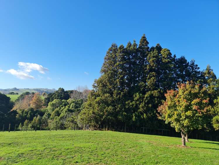 1549H Great South Road Ramarama_22