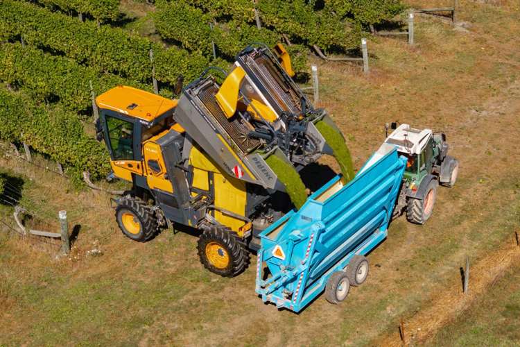 1 Wairau Plains Renwick_6