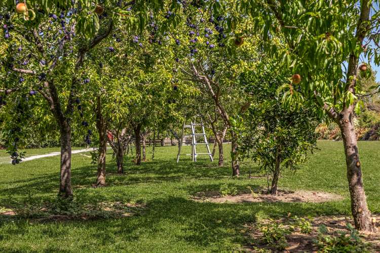 134 Aranui Road Mapua_24