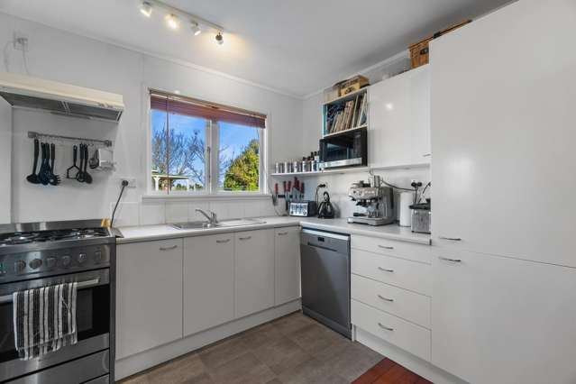 54 Scott Street Cambridge_3