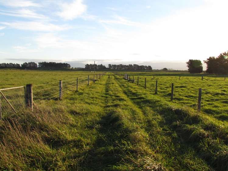 2246 Kahutara Road Kahutara_18