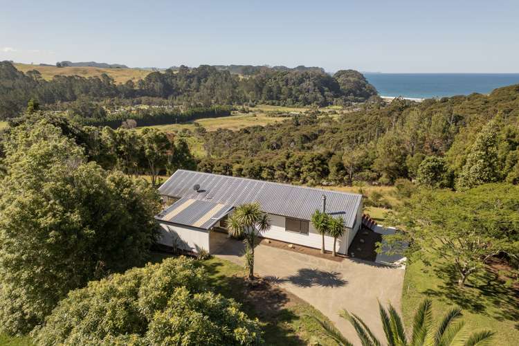 Lot 7/104 Taiwawe Lane Hot Water Beach_1