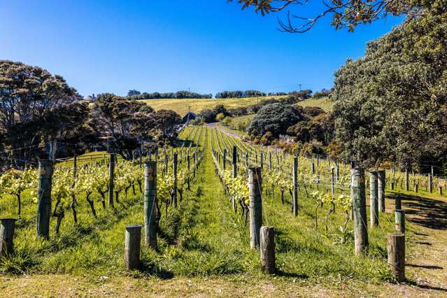 211A Te Whau Drive Te Whau_4