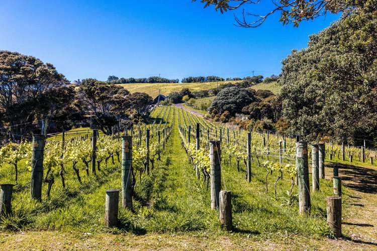 211A Te Whau Drive_3