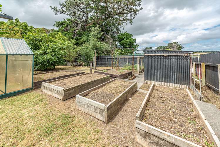 17 Plunket Street Durie Hill_24