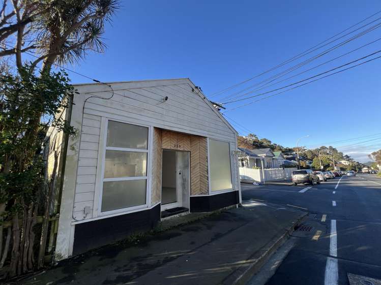 259 Ohiro Road_0