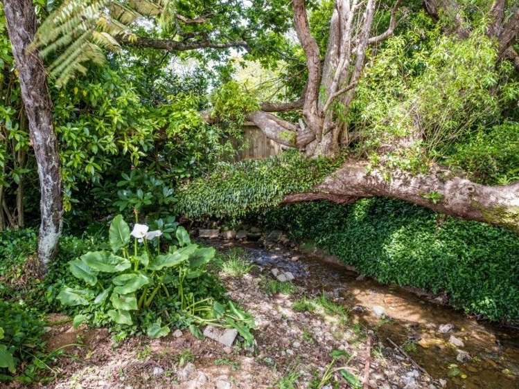 1 Roy Street Tawa_14