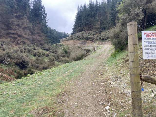 Te Moana Road Kakahu_3