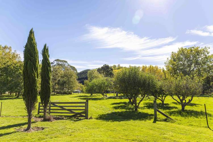 1463 Greta Road Greta Valley_35