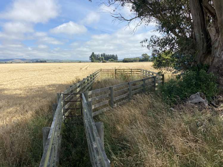 Willowbridge Road Waimate_5