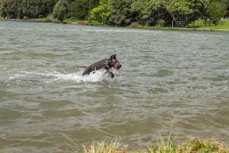 65a Maxwells Road Otumoetai_20