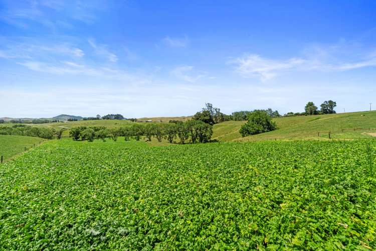 458 Rotowaro Road Huntly_14