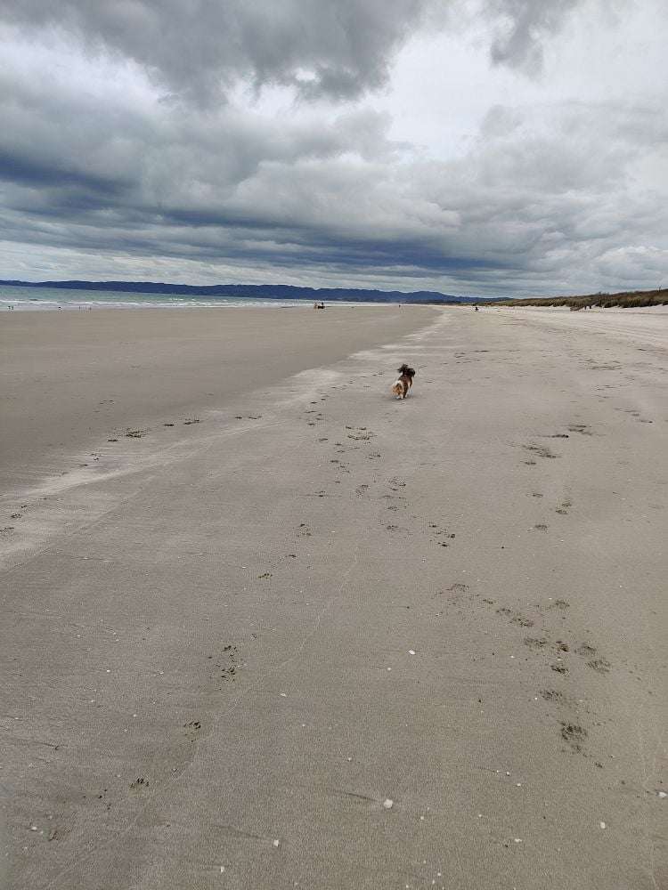 12 Sea Dune Place Ruakaka_11