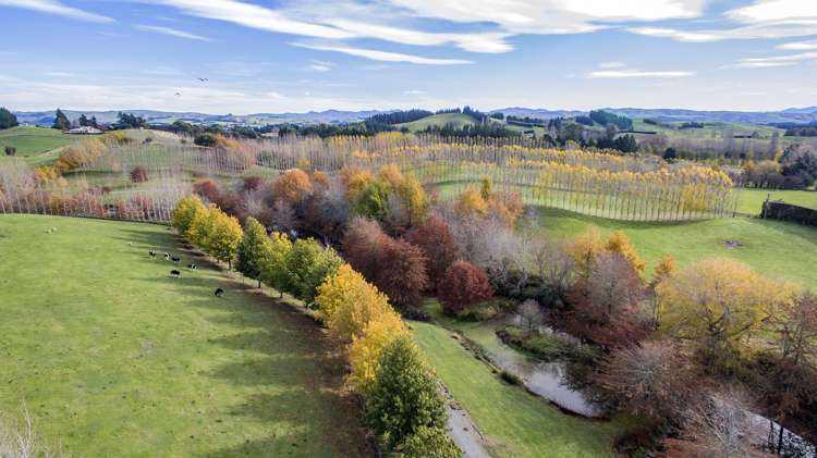 149 Parnassus Road Cheviot_22