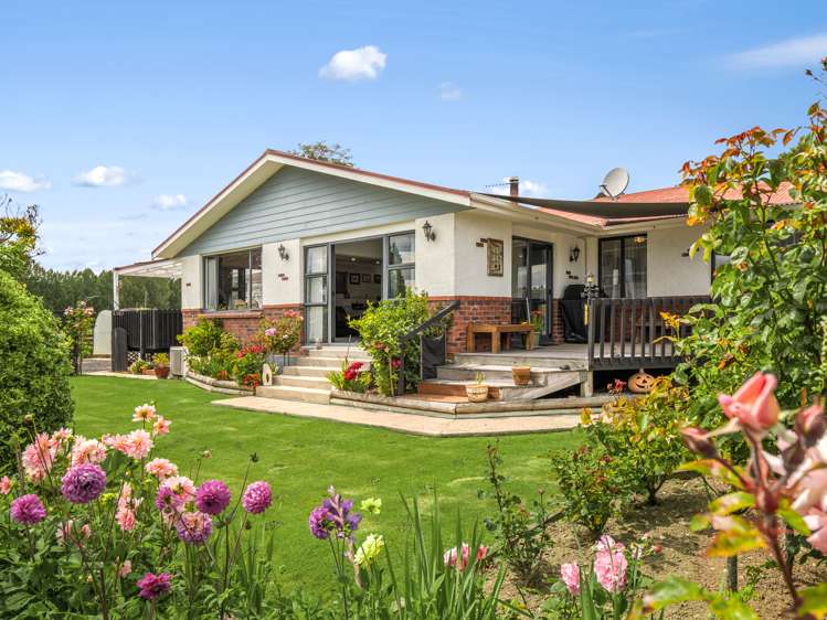 14 Elizabeth Avenue_0