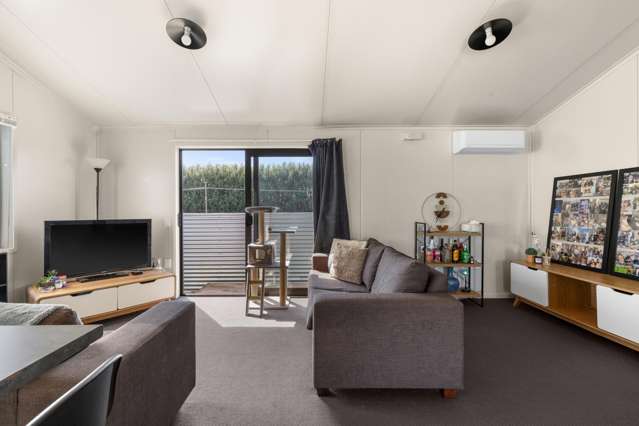 61 Masefield Avenue Maraenui_4