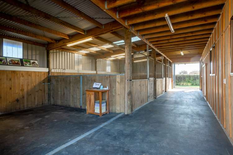 19 Brinkworth Road Tamahere_3