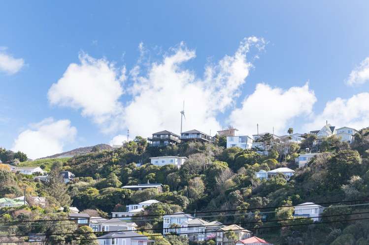 49 Mckinley Crescent Brooklyn_15