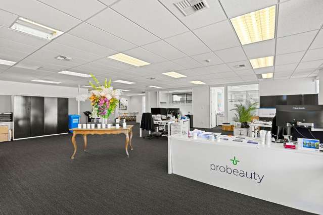 15B Leslie Hills Drive Riccarton_3