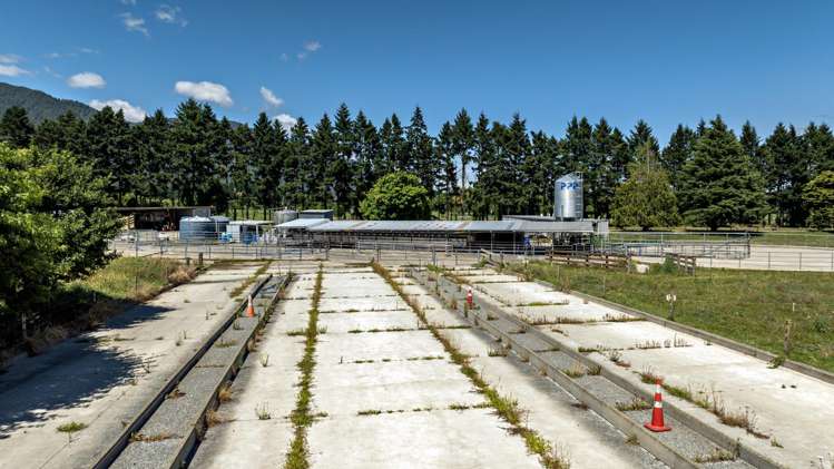 57 Ohutu Road Galatea_21