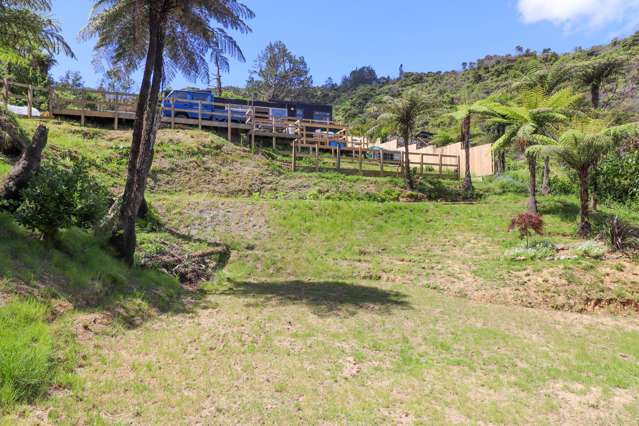 113 Collarbone Road Thames_3