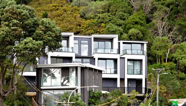 1d Wilkinson Street Oriental Bay_1