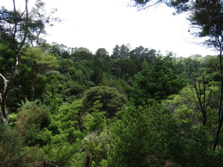 255 Awhitu Central Road Awhitu_13