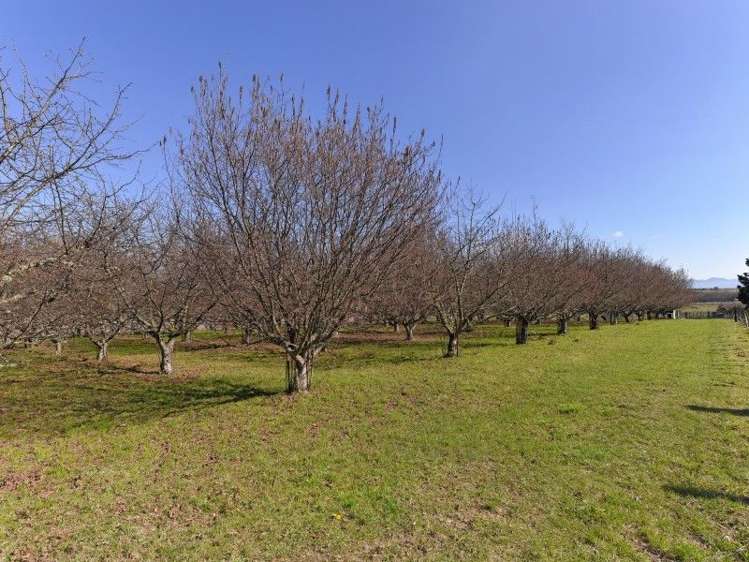 88 Neudorf Road Upper Moutere_23