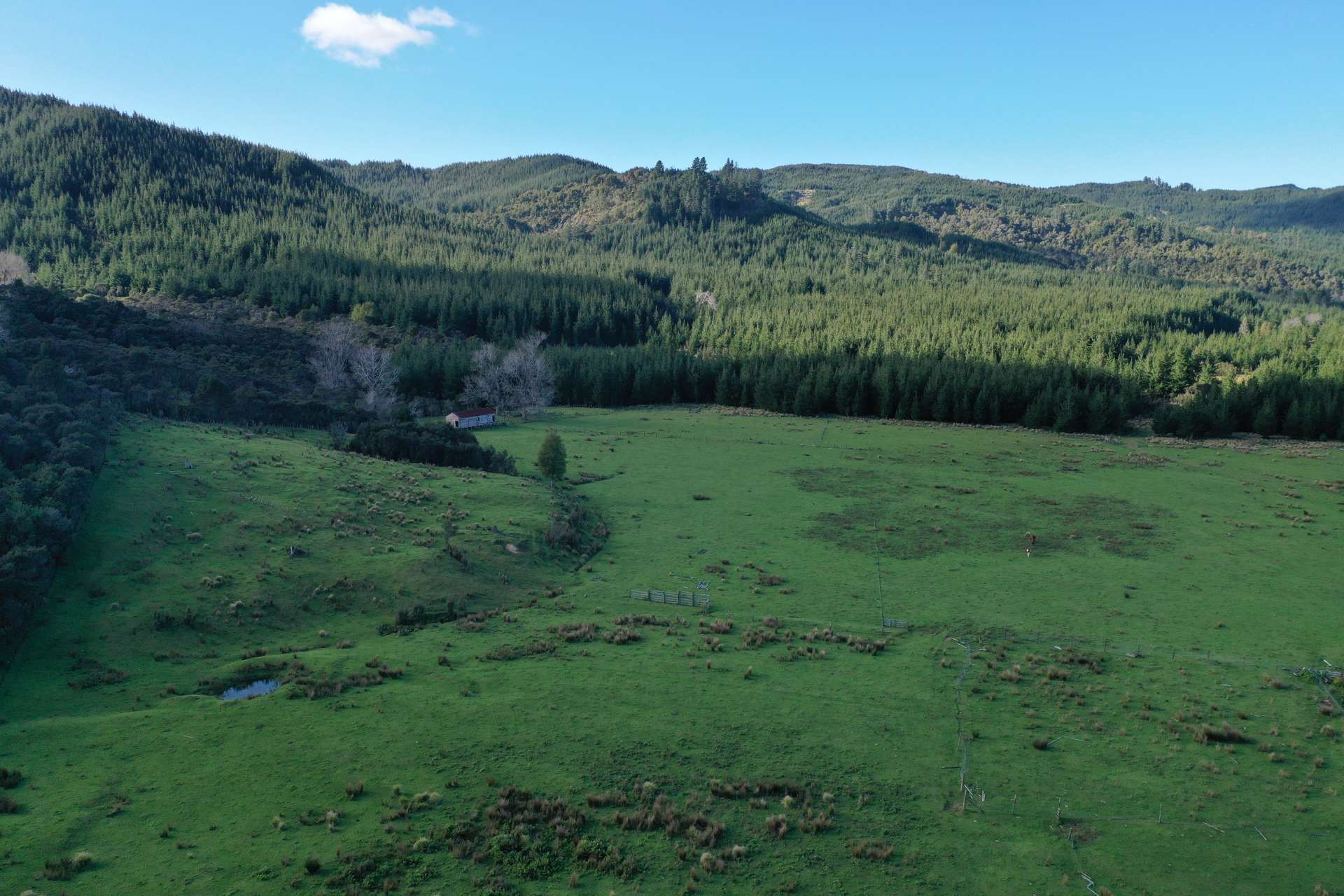 196 Griffiths Road Ruatoria_0