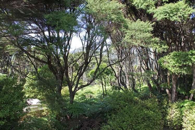 248 Rosalie Bay Road Great Barrier Island (Aotea Island)_13