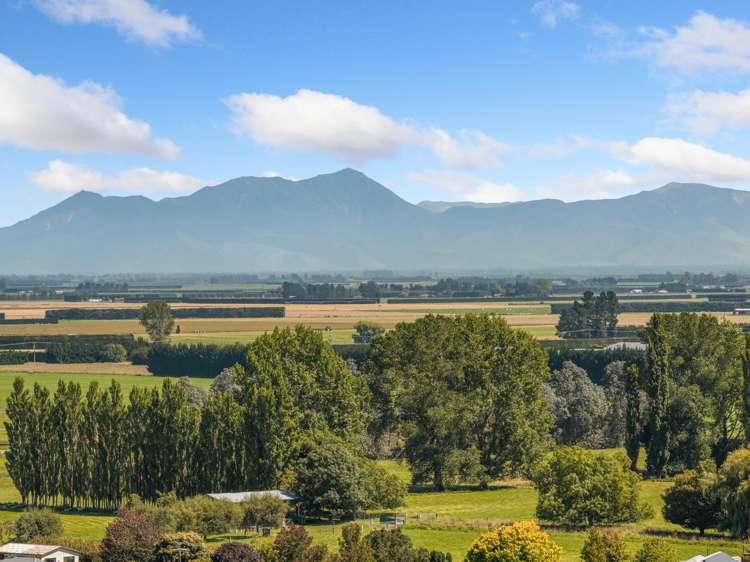 Carlisle Estate Tinwald_28