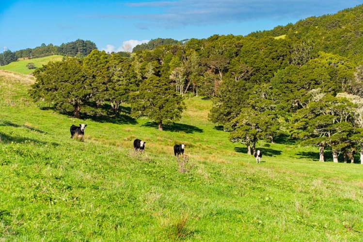 23A Kaitara Lane Kaiwaka_16