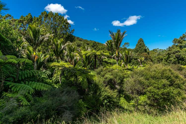 33 Karahiwi Lane Dairy Flat_17