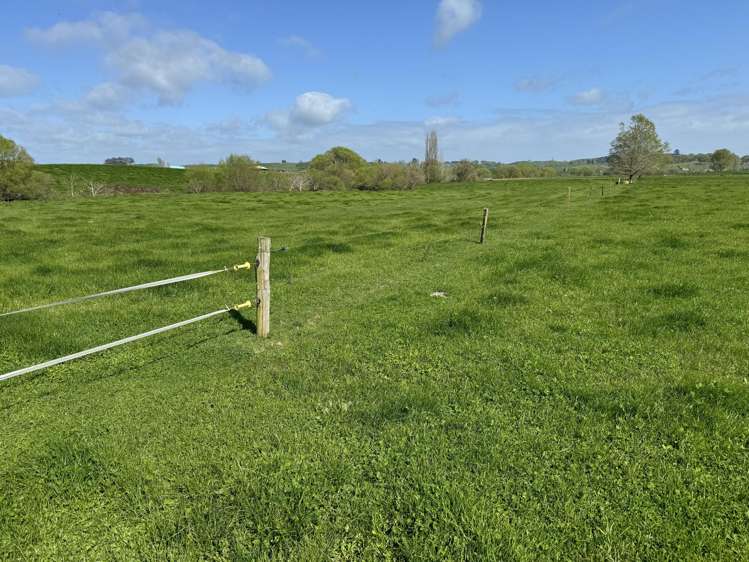 260 Maihiihi Road Maihiihi_20