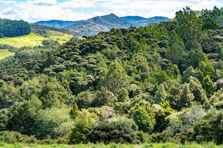 Kapawiti Road Mangawhai_9