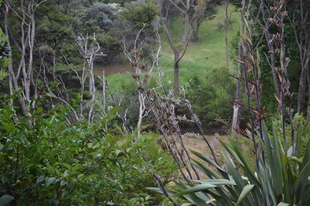 7 Anzac Road Waiheke Island_4