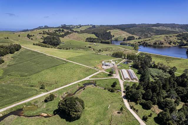 Puhipuhi Plateau Productive Paradise