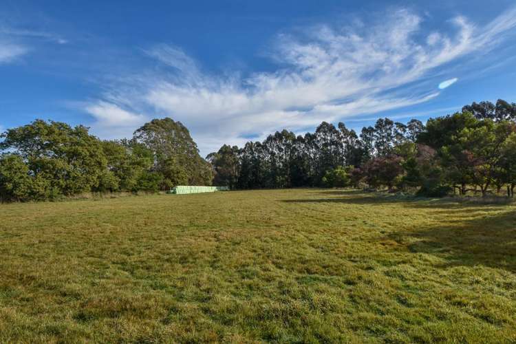 114 Tararua Drive Masterton_3