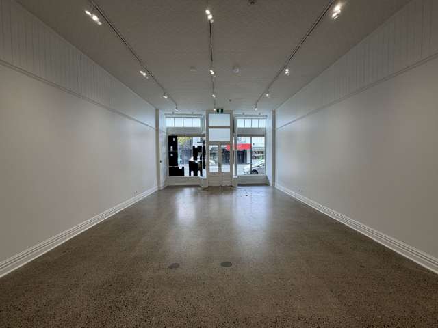 185 Ponsonby Road Ponsonby_2