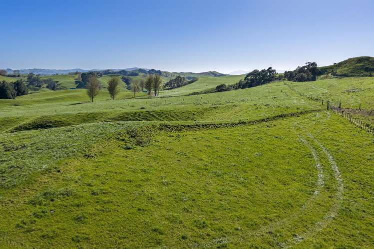 Lot 1/542 and 548 Paparamu Road Tirau_5