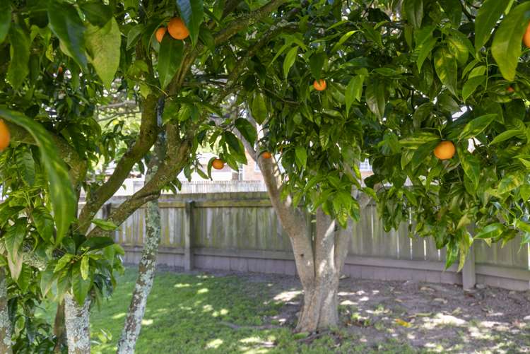 13 Harlock Place Huntly_20